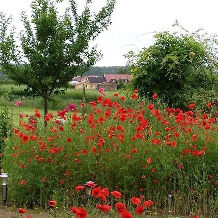 Ruhige Fewo Im Gruenen Mit Balkon, Terrasse Und Grossem Garten Apartment Sehlen Екстериор снимка