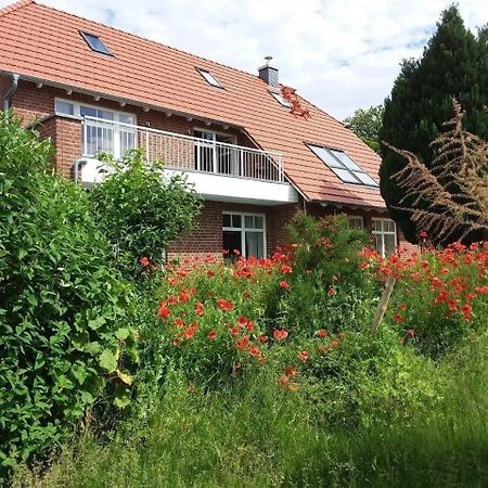 Ruhige Fewo Im Gruenen Mit Balkon, Terrasse Und Grossem Garten Apartment Sehlen Екстериор снимка